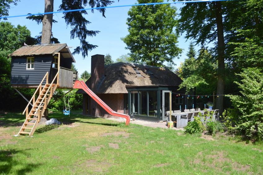 vakantiehuis met boomhut